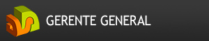 da vinci design gerente general